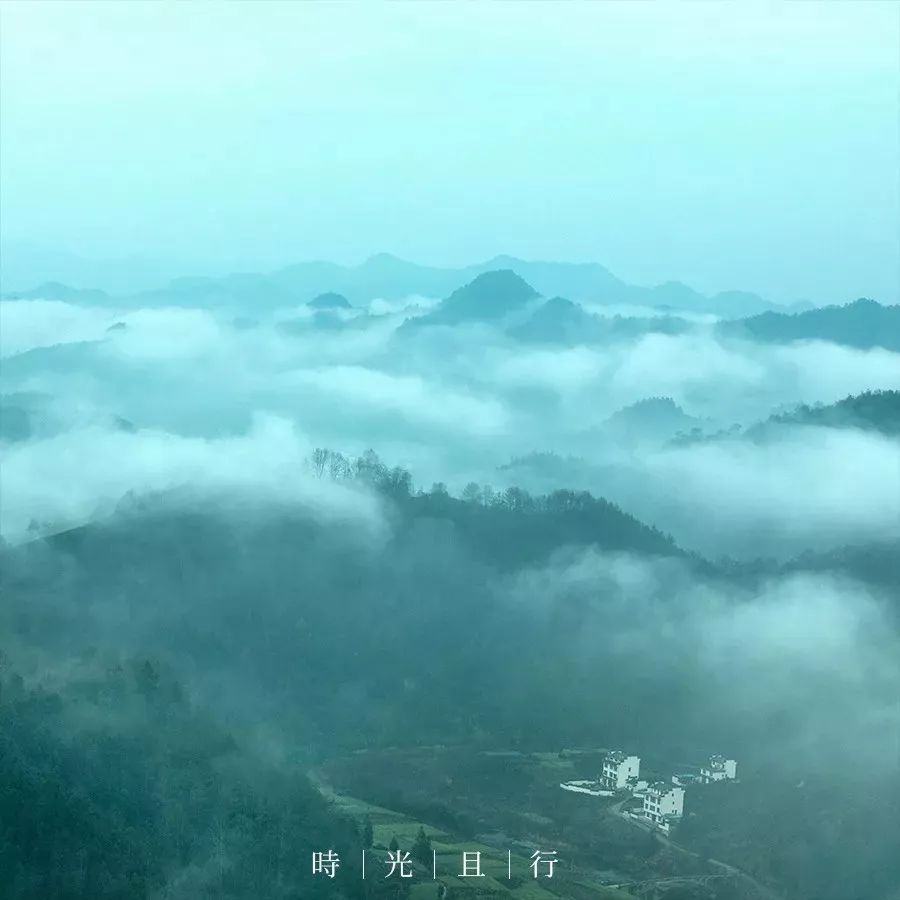 谷雨喝茶养生健康,谷雨节气与喝茶