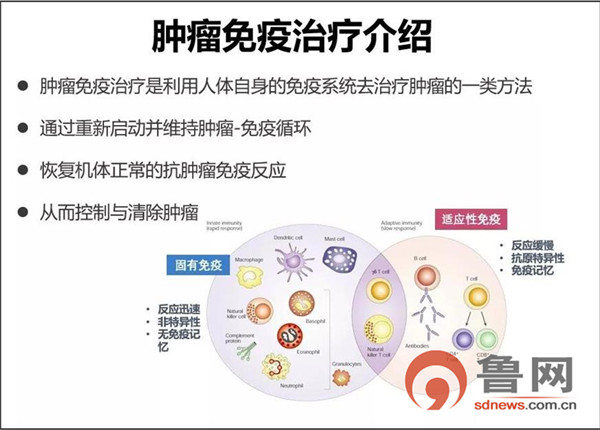 肿瘤防治宣传周怎么来的,肿瘤防治宣传周视频