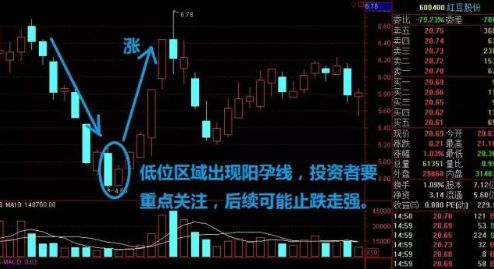 看跌孕线k线组合,反转k线组合与位置