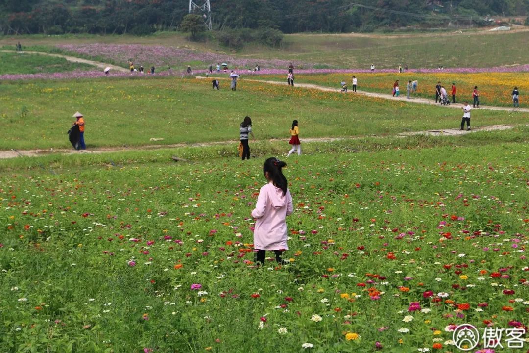 厦门美食探店海沧,厦门海沧特色美食探店
