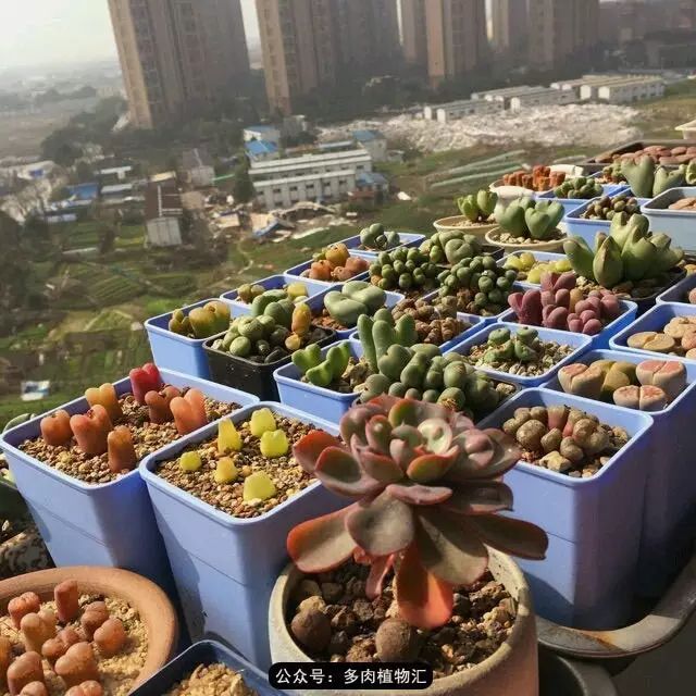 听说这段时间，肉友都在疯狂手撕屁屁？别了吧，再撕屁屁就烂了！