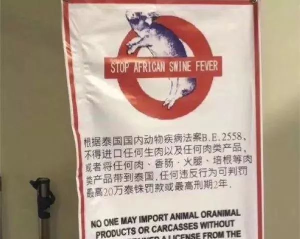 帮朋友带东西过海关被判死刑,女子带违禁品过安检后续