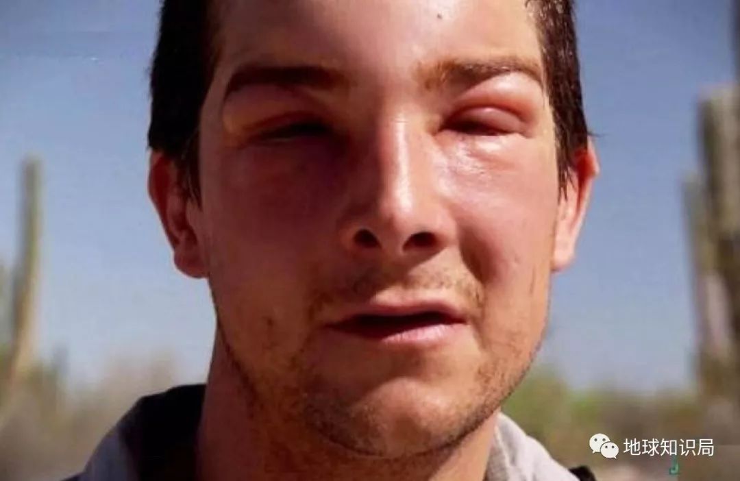 宇航员不小心掉进太空中,宇航员工作时不小心摔下太空