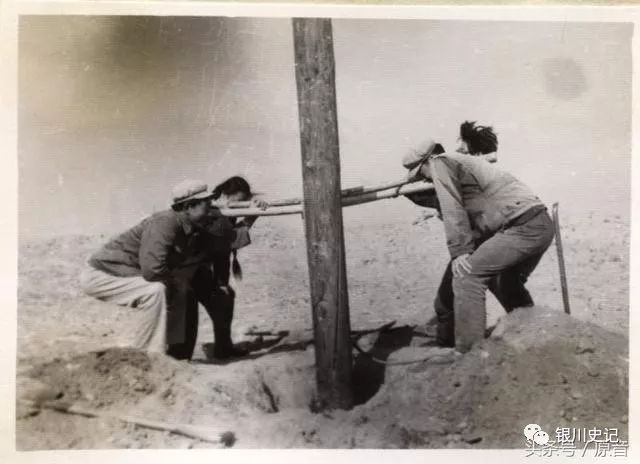 尔说,宁夏宝塔实业最新控股股东