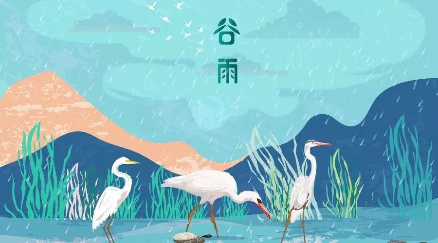 最近身体困没有力气怎样食疗调理,谷雨除湿健脾