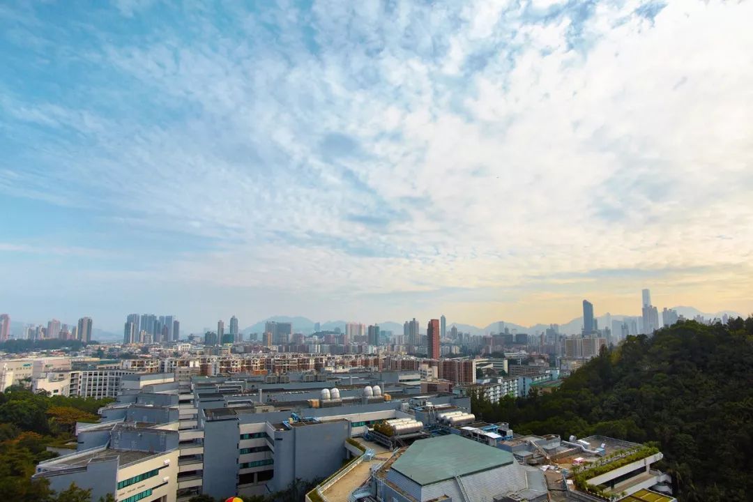 【麻辣校园】高胜寒：三围最低，他是如何第一个拿到港大英硕专业的offer？（含干货分享）