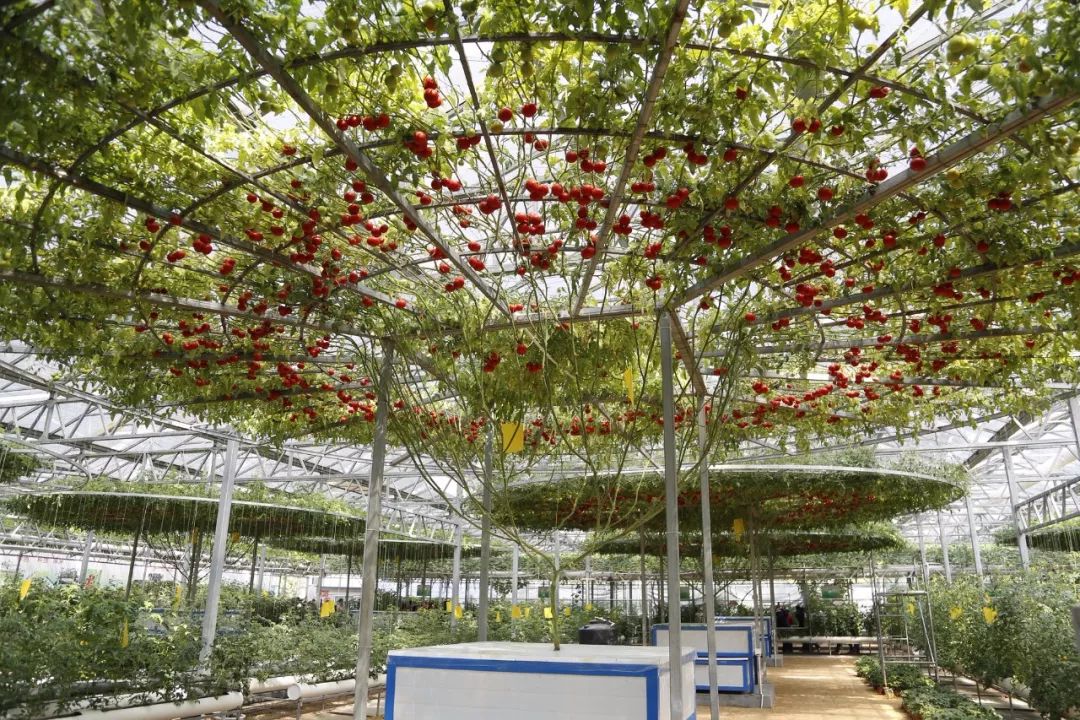 潍坊近期大事件,潍坊新闻头条今日大事