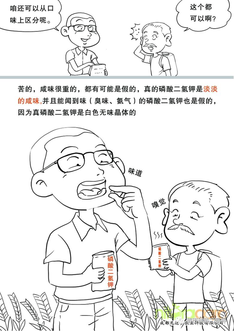 磷酸二氢钾适用于哪些农作物,磷酸二氢钾各种作物施用技术