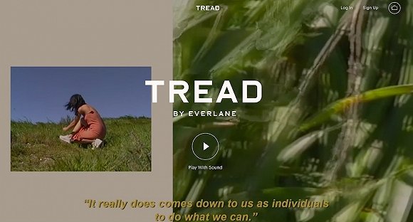 everlane运动鞋,everlane鞋