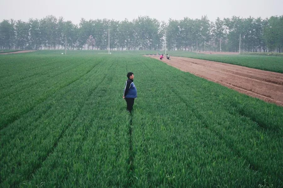 朱之文大衣哥2021春节晚会,星光大道大衣哥朱之文所有视频