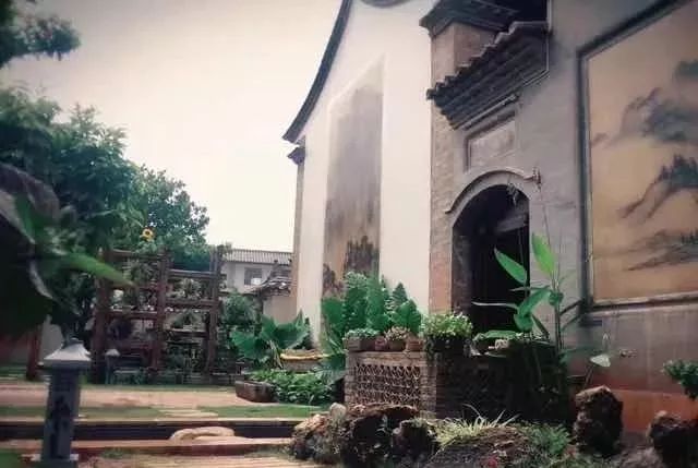 石屏杨梅樱桃采摘方法,石屏杨梅上市了欢迎大家来品尝