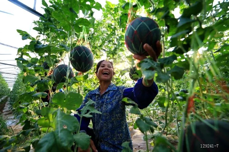 习*平近**总书记视察广西两周年，壮乡首府交出靓丽的“南宁答卷”