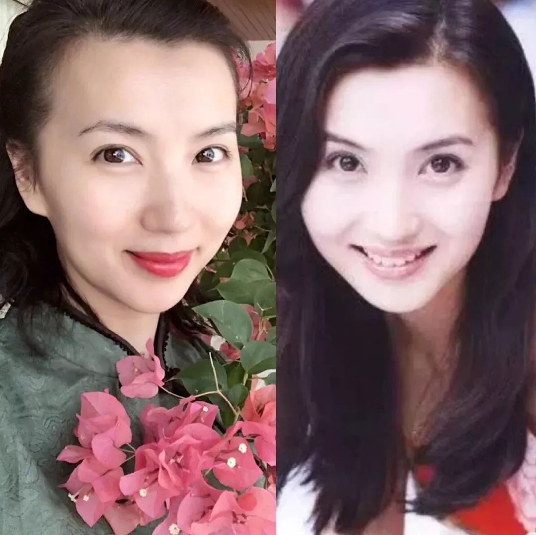 陈好历程,大家还记得当初的万人迷陈好吗