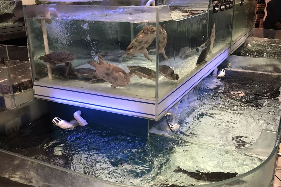 我们采访了32个人，发现盒马用户最好（hào）吃，你猜哪个生鲜用户必备双开门冰箱？