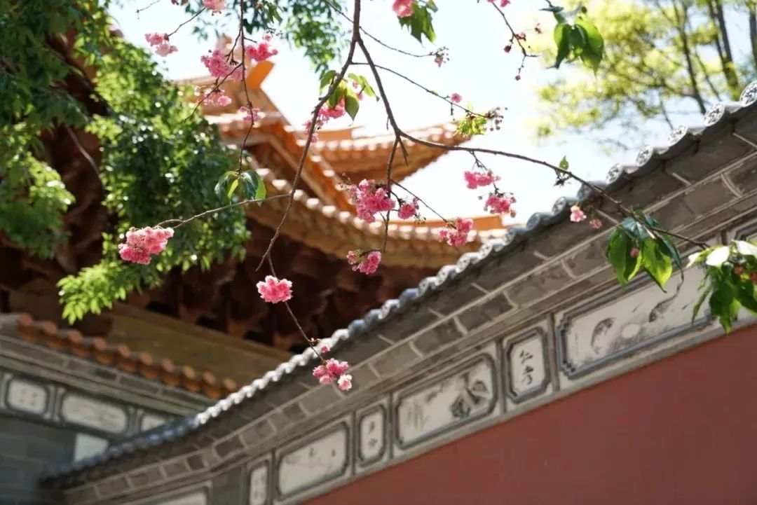 铁路迎返程高峰增开列车确保返程,铁路部门增开列车方便旅客出行