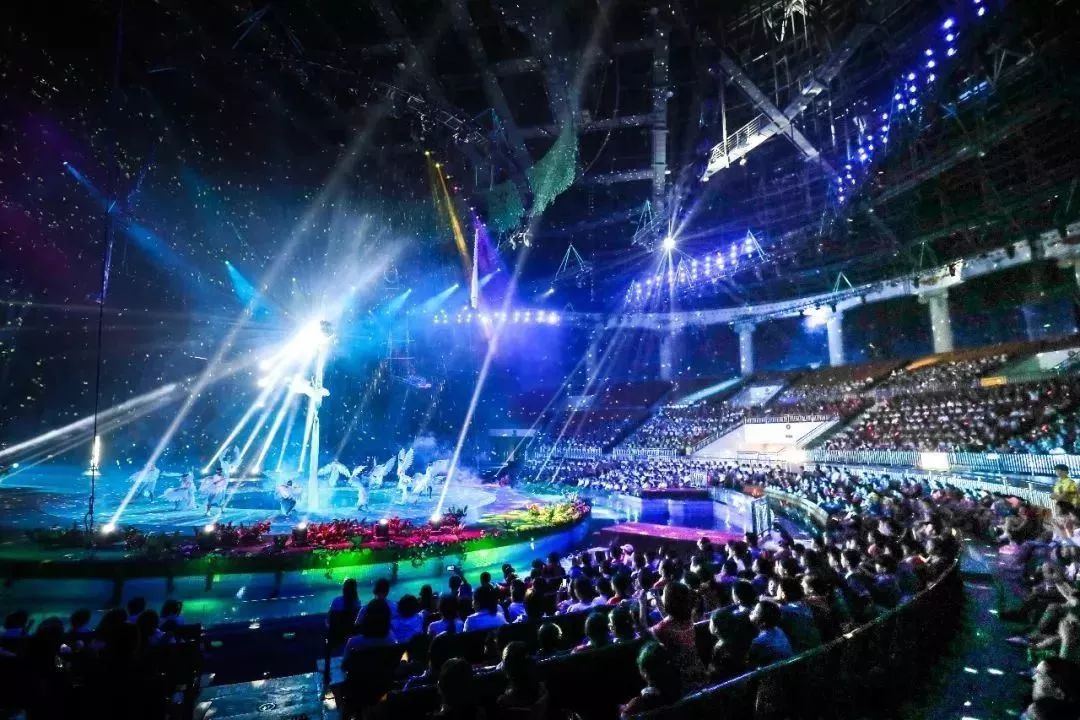 灵玲国际马戏城儿童节,厦门灵玲国际马戏城大熊猫叫什么