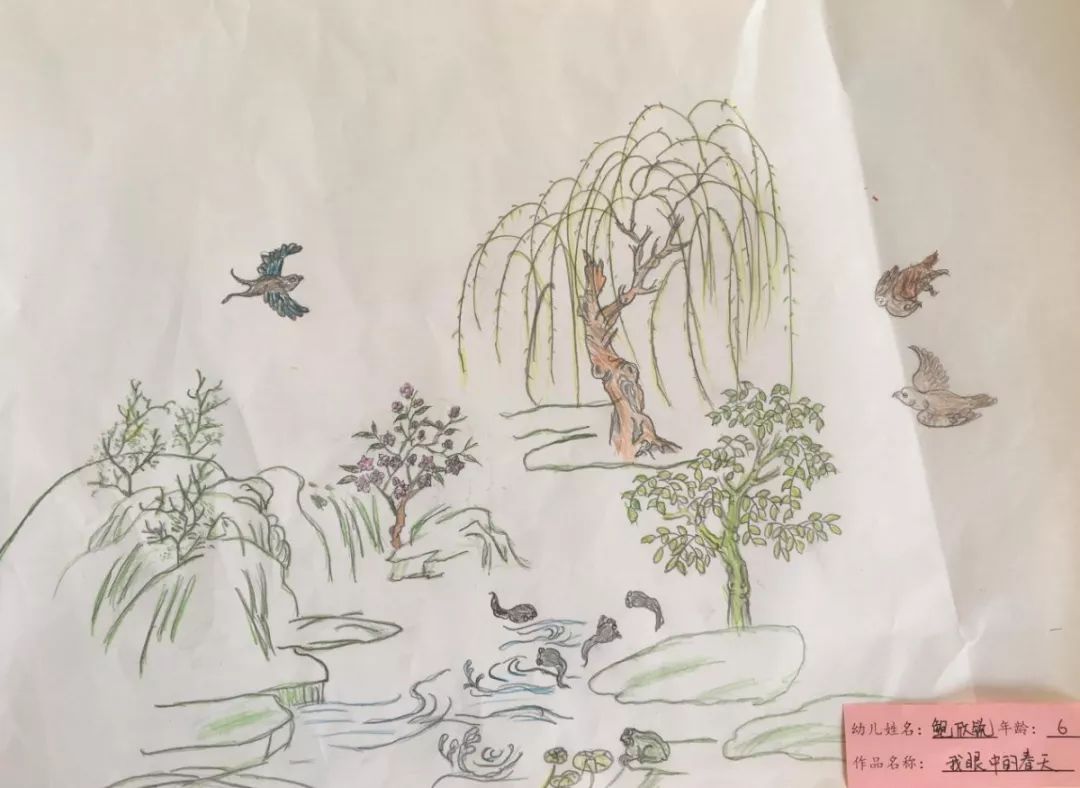 树洞画100幅欣赏,树洞松鼠儿童画