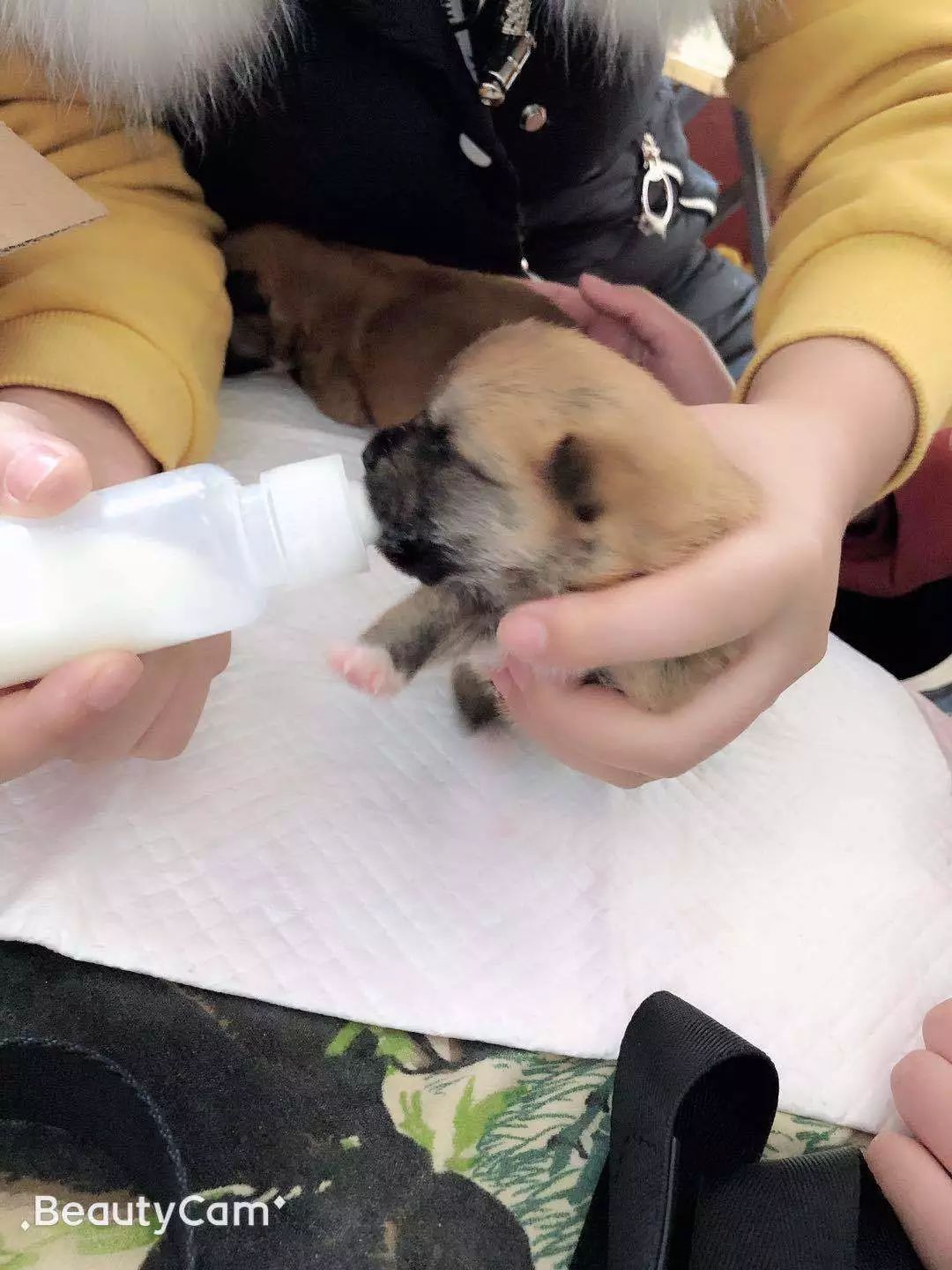 志愿沂蒙莒南,志愿沂蒙心连心