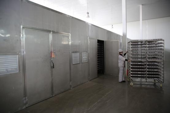 黄李强段淑敏：枣想告诉你|红枣期货上市必知小知识！