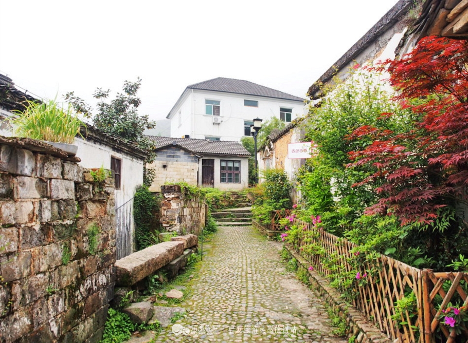 山沟沟里不存在的风景美如画,充满田园风光的美丽小村庄