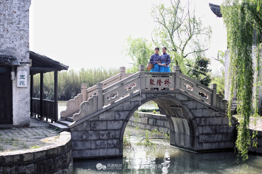 原味江南|在春日繁花烂漫的沙家浜,等风也等你