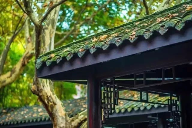 人心不足蛇吞象的故事完整版,人心不足蛇吞象王莽的动画故事