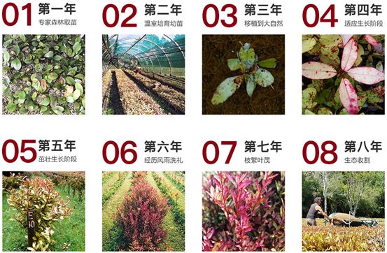 脚气脚臭脱皮克星,分享一个根治脚气脚臭方法