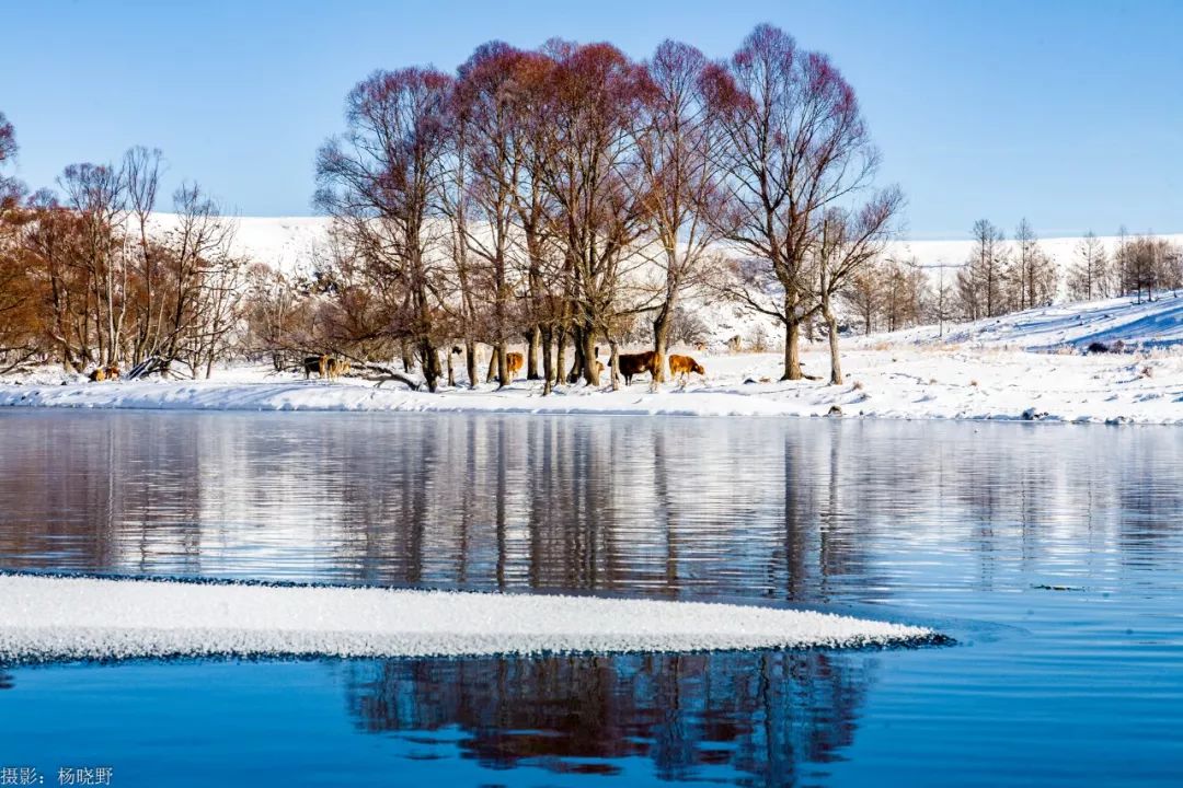 阿尔山五一适合旅游吗,五一阿尔山的风景怎样