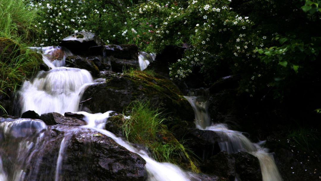 阿尔山五一适合旅游吗,五一阿尔山的风景怎样