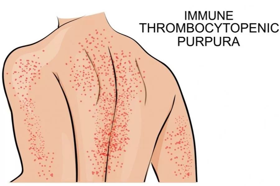 涔夎瘖娲诲姩涓嬪崍涓撳瀛︽湳璁插骇,鍏ㄥ競鍗仴绯荤粺鐧惧悕涓撳涔夎瘖娲诲姩