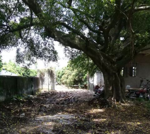 斗门为什么叫斗门,外地人眼中的斗门