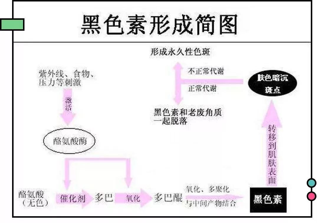 怀孕变丑真正原因,什么时候怀孕变难看