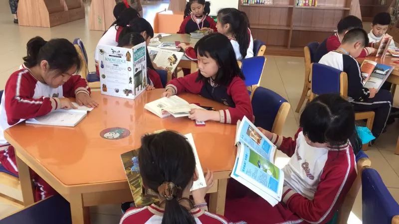 孩子小升初择校的文案,幼升小择校文案