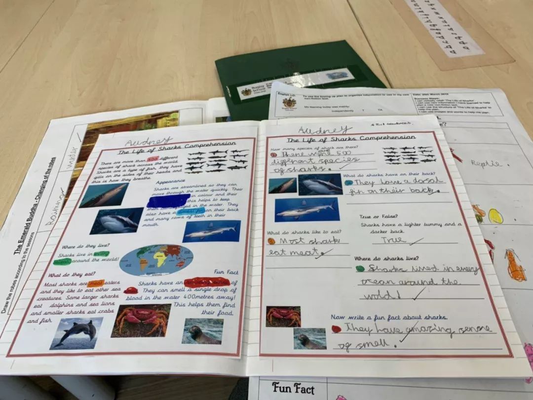 孩子小升初择校的文案,幼升小择校文案