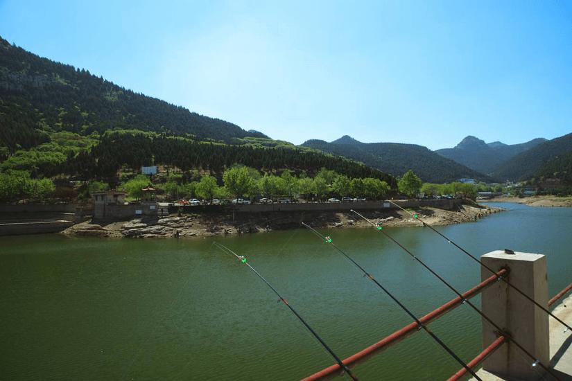 济南老人自驾游好玩的地方,济南野生动物园自驾游从哪个门进