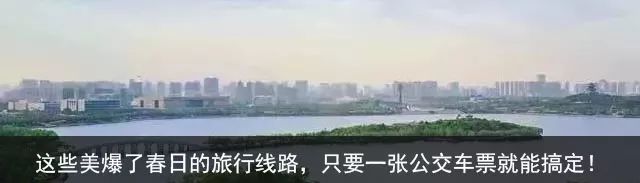 石家庄五一打卡景点推荐,石家庄周边必打卡旅游景点