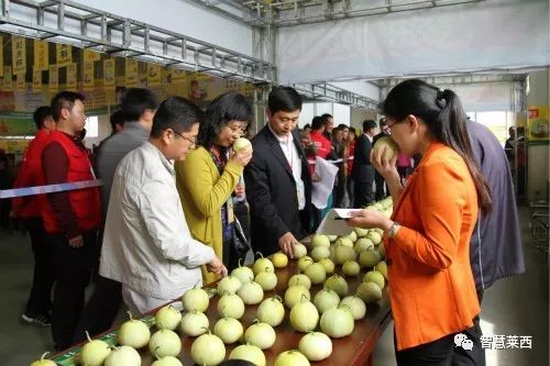 甜瓜节地点,马连庄甜瓜节开幕式