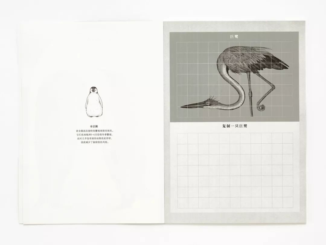 堪称一绝的野生动物画,世界动物画谱