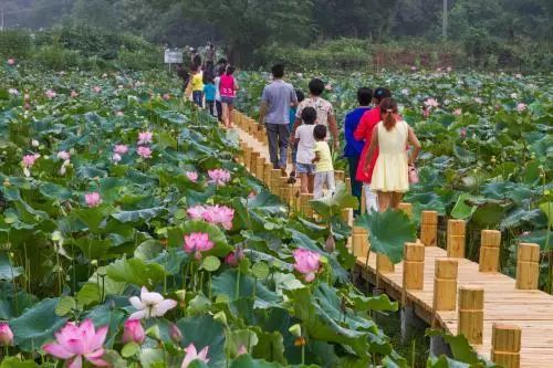 通辽文化旅游季来啦!赏花、踏青、采摘……让你嗨个够!