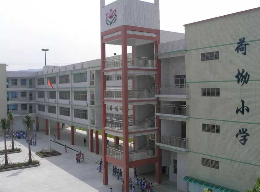 龙岗中心小学扩建后更名,龙岗区学位申请最新消息