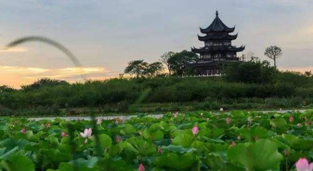 上海五一假期去哪玩最合适,五一假期上海有什么好玩的地方