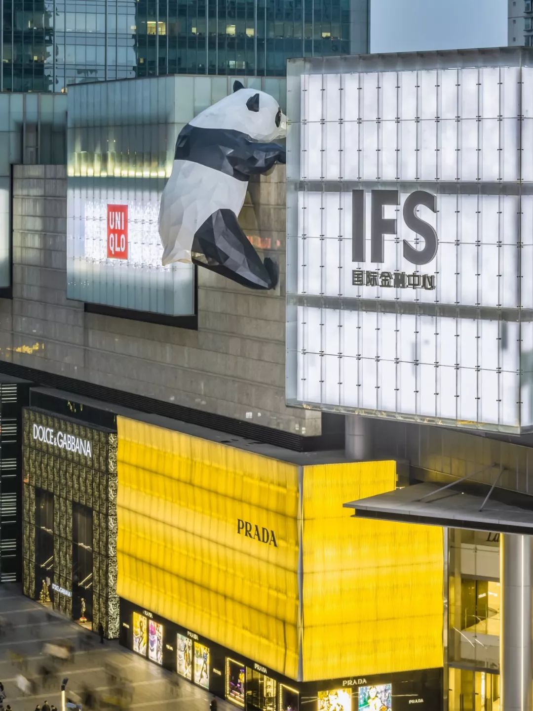 熊猫萌,熊猫萌啦