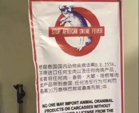 出境游必带物品清单,出国旅游必须知道的15个常识