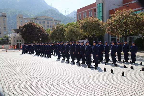 青春正当年风起扬帆时作文,青春正当年风起扬帆