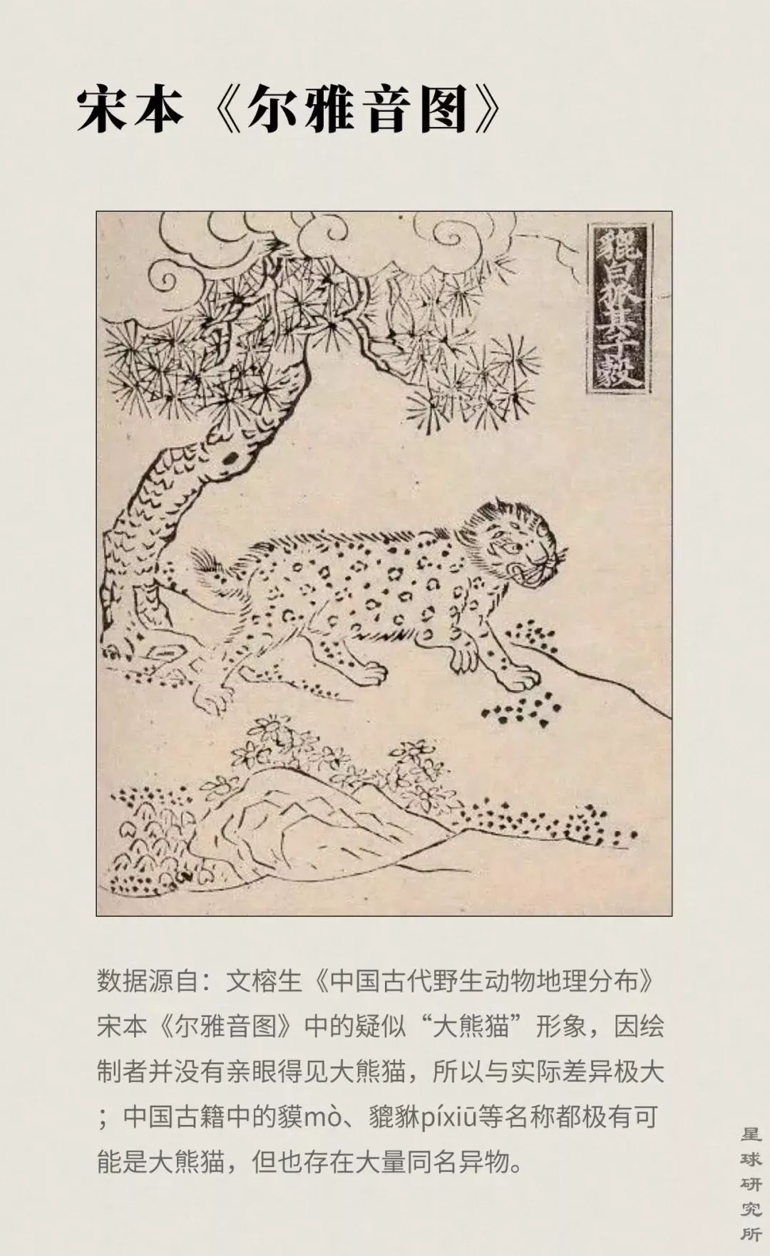 【荐读】熊猫:萌啥子哟,我是要雄起!