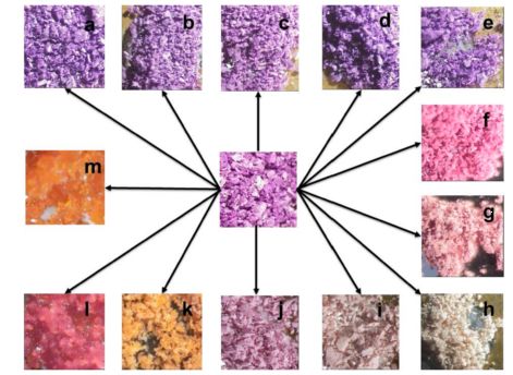 储存气体、分解毒气、去除污染物……这到底是什么新材料？（下）