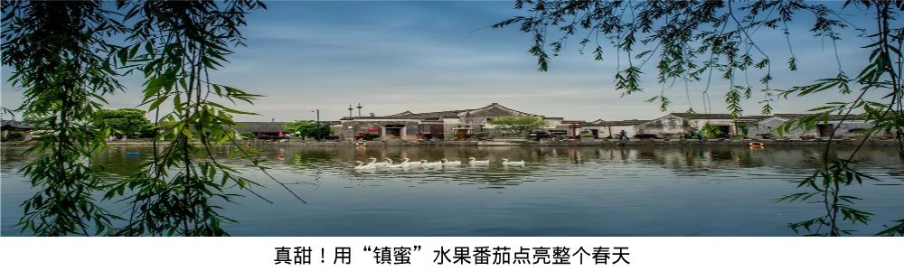 宁波室外十大网红游乐项目,宁波休闲打卡地