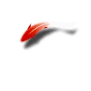 居家体育课64|胜利小学颜铎老师,夹包游戏提升协调性