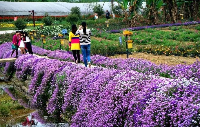 不必远行自有风景,不必远行在家度假