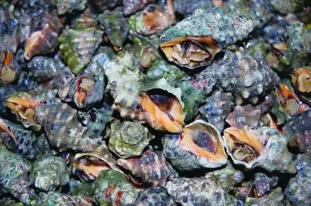 大连最新管控时间,大连最新重要通告